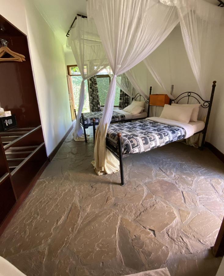 Ahadi Lodge Arusza Zewnętrze zdjęcie